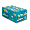 Carton gros conditionnement de la vosgienne sève de pin de couleur bleu